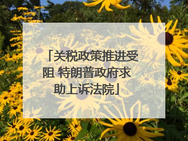 关税政策推进受阻 特朗普政府求助上诉法院