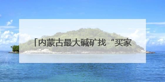内蒙古最大碱矿找“买家” 储量20.77亿吨