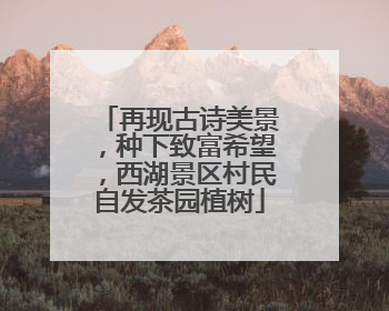 再现古诗美景,种下致富希望,西湖景区村民自发茶园植树