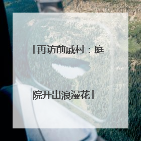 再访前戚村：庭院开出浪漫花