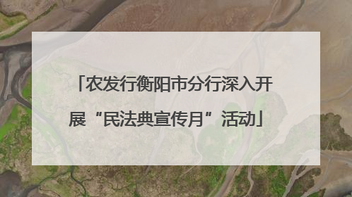农发行衡阳市分行深入开展“民法典宣传月”活动
