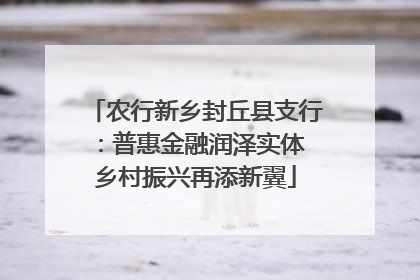 农行新乡封丘县支行：普惠金融润泽实体 乡村振兴再添新翼