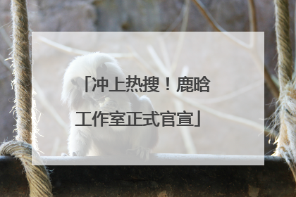 冲上热搜！鹿晗工作室正式官宣