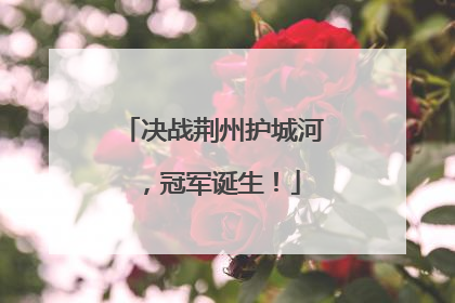 决战荆州护城河，冠军诞生！