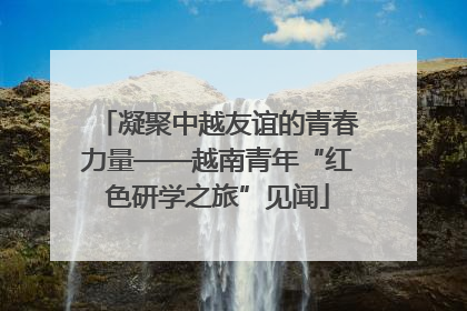 凝聚中越友谊的青春力量——越南青年“红色研学之旅”见闻