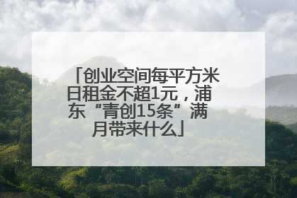 创业空间每平方米日租金不超1元，浦东“青创15条”满月带来什么