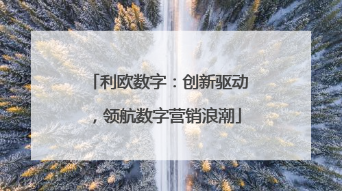 利欧数字：创新驱动，领航数字营销浪潮