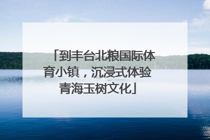到丰台北粮国际体育小镇，沉浸式体验青海玉树文化