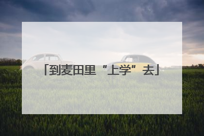 到麦田里“上学”去