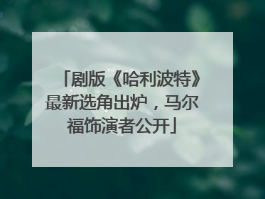 剧版《哈利波特》最新选角出炉，马尔福饰演者公开