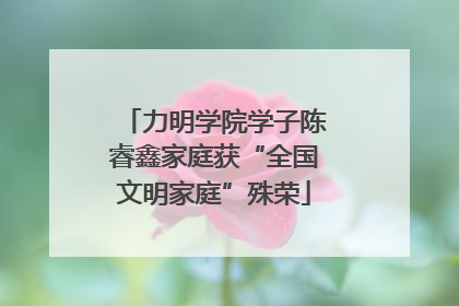 力明学院学子陈睿鑫家庭获“全国文明家庭”殊荣