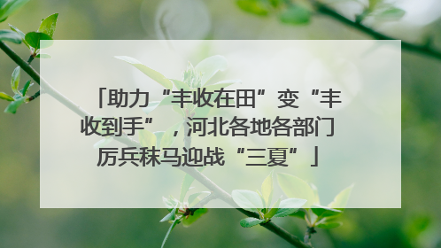 助力“丰收在田”变“丰收到手”，河北各地各部门厉兵秣马迎战“三夏”