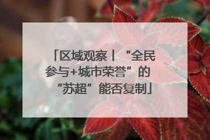区域观察丨“全民参与+城市荣誉”的“苏超”能否复制