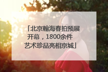 北京翰海春拍预展开幕，1800余件艺术珍品亮相京城