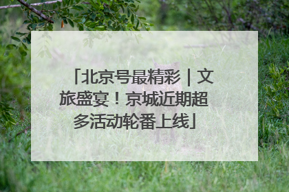 北京号最精彩｜文旅盛宴！京城近期超多活动轮番上线