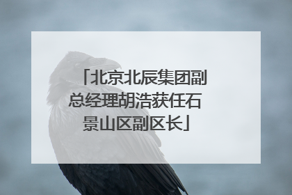 北京北辰集团副总经理胡浩获任石景山区副区长