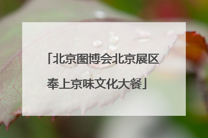 北京图博会北京展区奉上京味文化大餐