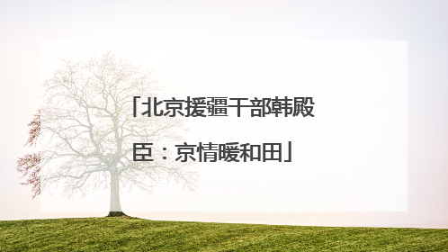 北京援疆干部韩殿臣：京情暖和田