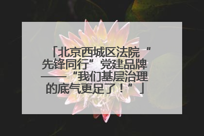 北京西城区法院“先锋同行”党建品牌——“我们基层治理的底气更足了！”