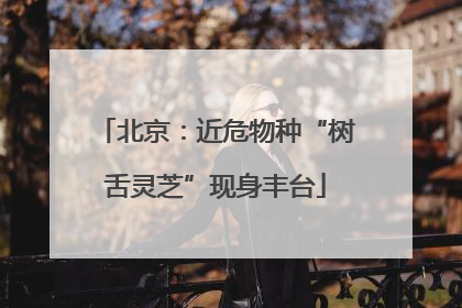 北京：近危物种“树舌灵芝”现身丰台