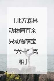 北方森林动物园百余只动物萌宝“六一”亮相