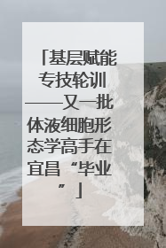 基层赋能 专技轮训——又一批体液细胞形态学高手在宜昌“毕业”
