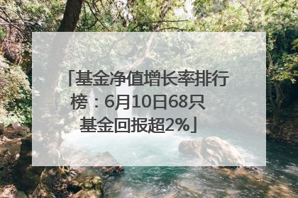 基金净值增长率排行榜：6月10日68只基金回报超2%