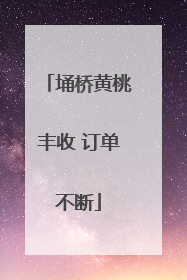 埇桥黄桃丰收 订单不断