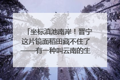 坐标滇池南岸！晋宁这片镜面稻田藏不住了——有一种叫云南的生活之365天