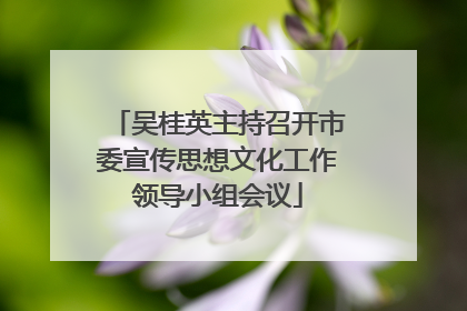 吴桂英主持召开市委宣传思想文化工作领导小组会议