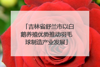 吉林省舒兰市以白鹅养殖优势推动羽毛球制造产业发展