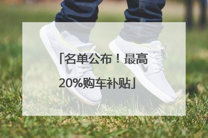 名单公布！最高20%购车补贴