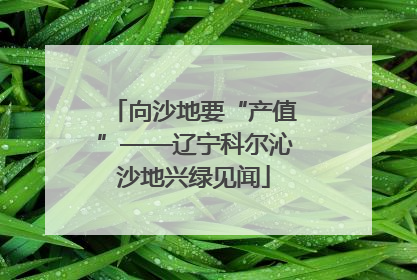 向沙地要“产值”——辽宁科尔沁沙地兴绿见闻
