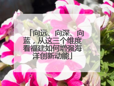 向远、向深、向蓝，从这三个维度看福建如何增强海洋创新动能