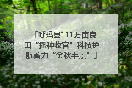 呼玛县111万亩良田“播种收官”科技护航蓄力“金秋丰景”