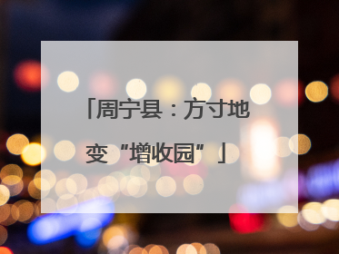 周宁县：方寸地变“增收园”