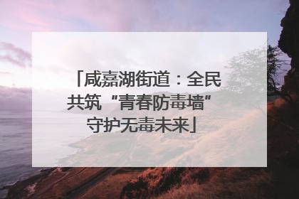 咸嘉湖街道：全民共筑“青春防毒墙” 守护无毒未来