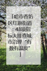 哈市香坊区红旗街道：43项指标大排查城市治理“有数有温度”