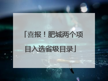 喜报！肥城两个项目入选省级目录