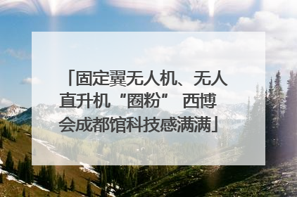 固定翼无人机、无人直升机“圈粉” 西博会成都馆科技感满满