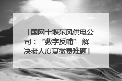 国网十堰东风供电公司：“数字反哺” 解决老人度夏缴费难题