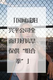 国网咸阳兴平公司全面打好抗旱保供“组合拳”