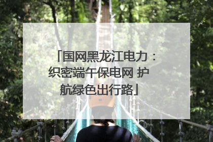 国网黑龙江电力：织密端午保电网 护航绿色出行路