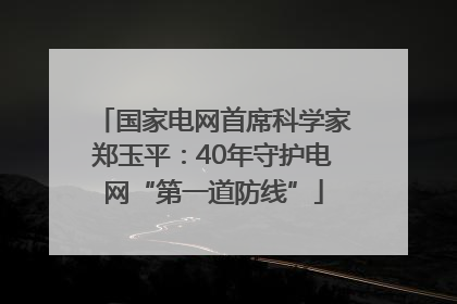国家电网首席科学家郑玉平：40年守护电网“第一道防线”