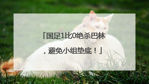 国足1比0绝杀巴林，避免小组垫底！