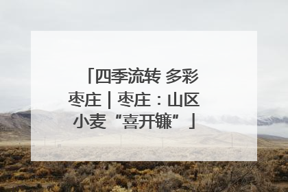 四季流转 多彩枣庄｜枣庄：山区小麦“喜开镰”