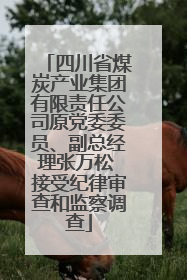 四川省煤炭产业集团有限责任公司原党委委员、副总经理张万松 接受纪律审查和监察调查