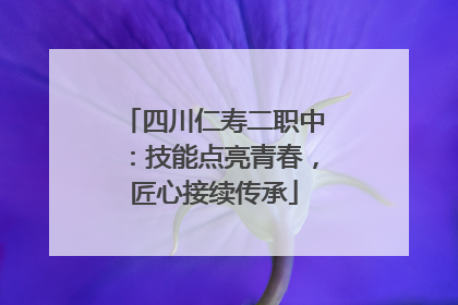 四川仁寿二职中：技能点亮青春，匠心接续传承
