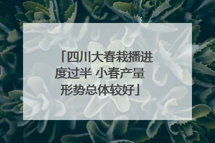 四川大春栽播进度过半 小春产量形势总体较好
