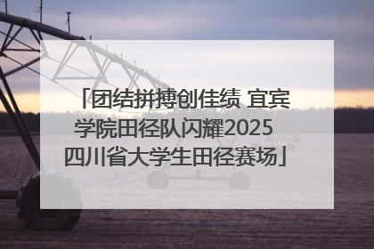 团结拼搏创佳绩 宜宾学院田径队闪耀2025四川省大学生田径赛场